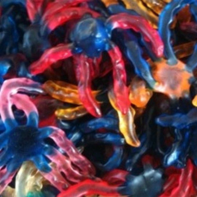 araignée NON HALAL par 100G