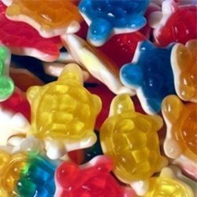 tortue lisses par (100g)